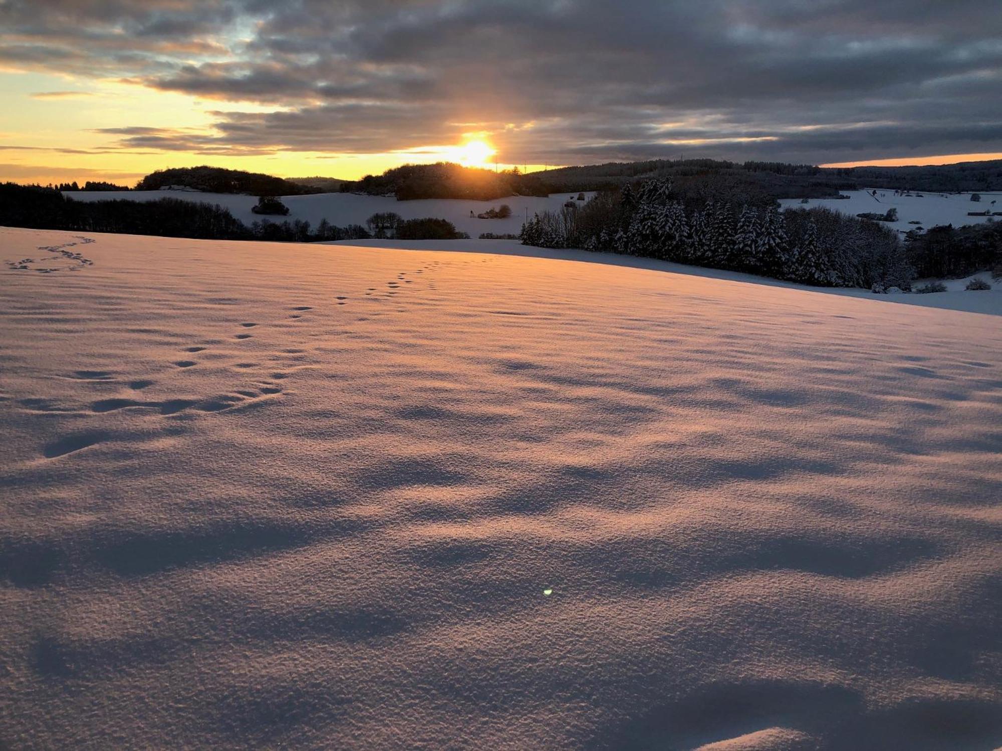 Eifel Panoramablick Lejlighed Kelberg Eksteriør billede